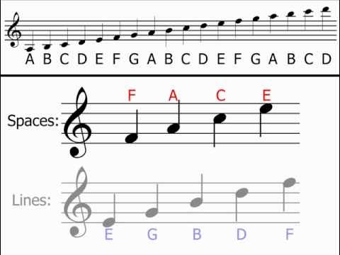 Note positions on the staff